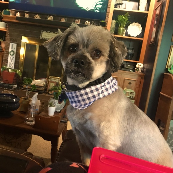 Meet the Posher Other - Meet your Posher